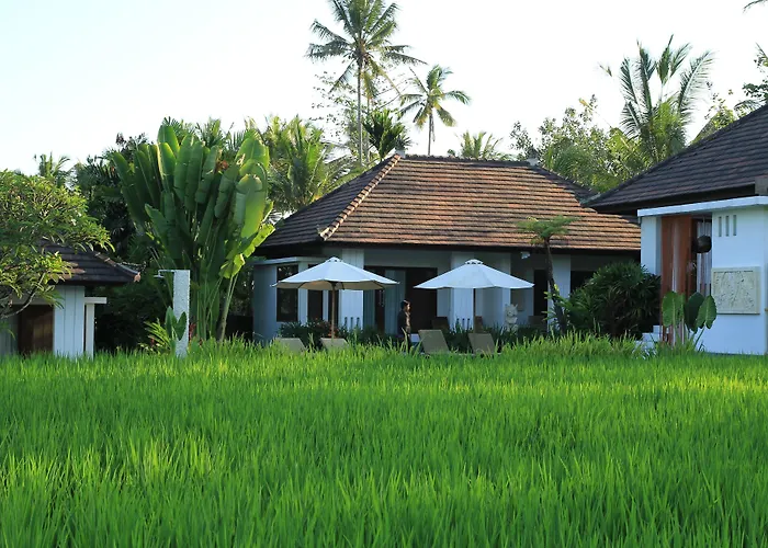 The Samara & Restaurant Guest house Ubud (Bali)