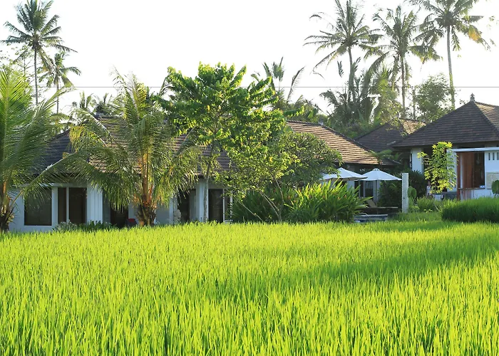 Guest house The Samara & Restaurant