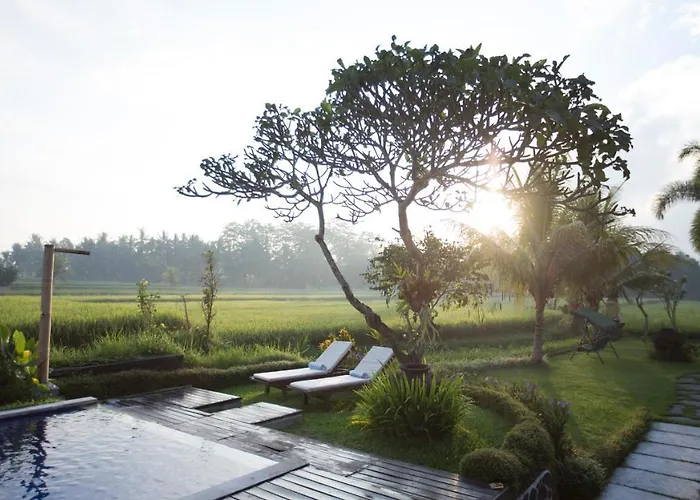 The Samara & Restaurant Guest house 4*